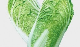 吉林大白菜爆料事件视频,真相究竟如何？