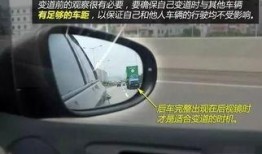 最新礼包车爆料视频,揭秘神秘车型，性能与颜值并存