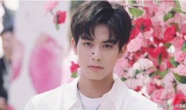 宋威龙养媳妇的爆料视频,爆料视频揭露惊人内幕