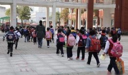 汕尾龙溪小学最新爆料,揭秘校园生活新篇章